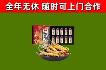 景东县回收冬虫夏草价格